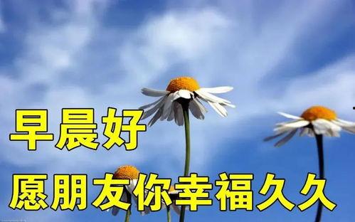 爆料早安问候语图片最新,网红爆款背后的故事 第2张 爆料早安问候语图片最新,网红爆款背后的故事 第2张
